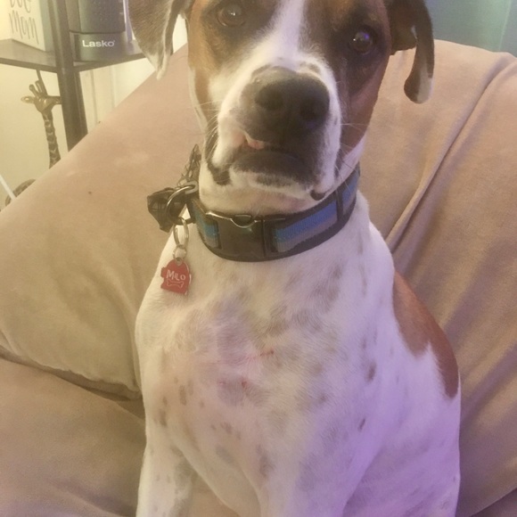 Future Mrs.Couture - Picture 10 of 16